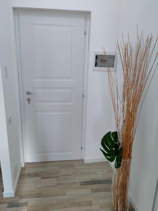 Suite Room Malpensa B&B Cardano Al Campo Eksteriør bilde